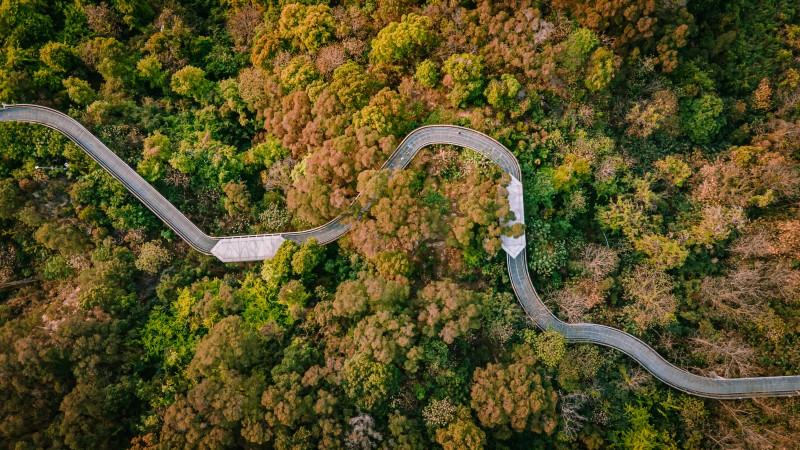 batch_包图网_19723447清新福州网红郊野公园道路航拍.jpg
